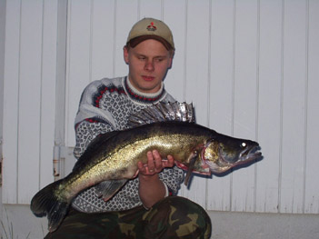 Kuha 6,5 kg Siuronkoski keskuu 2003. Kalastaja Tomi Ilola.