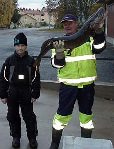 Hauki 10,3 kg. Plknevesi 23.10.2004. Kalastajat Pasi Munne ja Joonas Susi.
