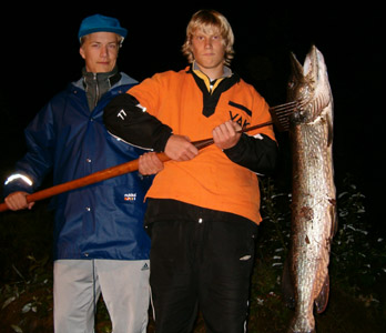 Hauki 12 kg. Houhajrvi 22.8.2004. Ville-Pekka Arponen ja Roope Grnlund.