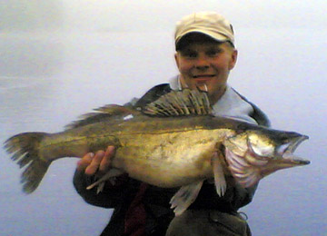 Kuha 6,25 kg, Nsijrvi Koljonselk 18.8.2006. Kalastaja Jarkko Lahtinen.